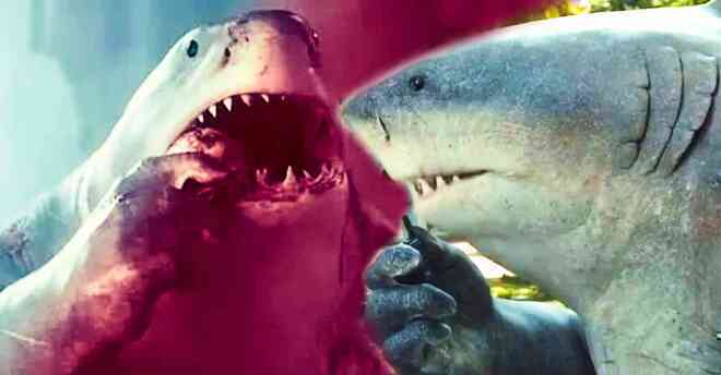 King Shark mạnh đến mức nào? Tại sao nhân vật này không chết trong The Suicide Squad?