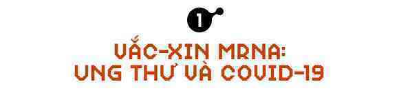 Sau COVID-19, công nghệ vắc-xin mRNA sẽ giúp chúng ta chữa khỏi bệnh ung thư - Ảnh 2.