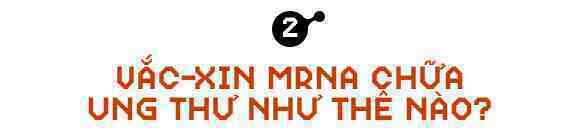 Sau COVID-19, công nghệ vắc-xin mRNA sẽ giúp chúng ta chữa khỏi bệnh ung thư - Ảnh 5.