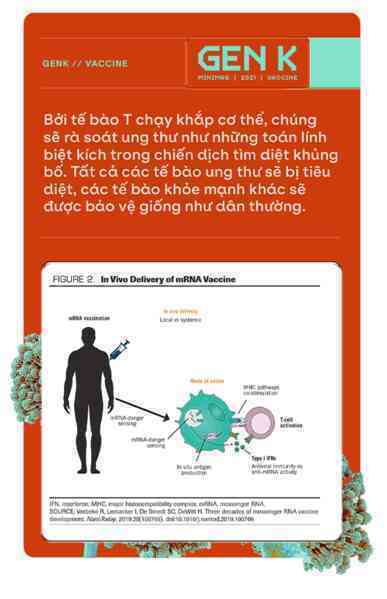 Sau COVID-19, công nghệ vắc-xin mRNA sẽ giúp chúng ta chữa khỏi bệnh ung thư - Ảnh 7.