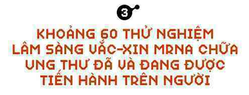 Sau COVID-19, công nghệ vắc-xin mRNA sẽ giúp chúng ta chữa khỏi bệnh ung thư - Ảnh 8.
