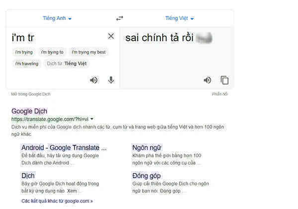 Từ nghi vấn Google Dịch bị hacker Việt tấn công đến hành động đáng lên án của nhiều người dùng Internet - Ảnh 3.