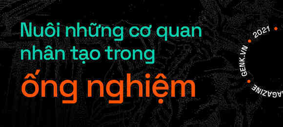 Y học tái tạo sẽ giúp con người mọc lại các bộ phận đã mất giống như loài thằn lằn - Ảnh 5. Y học tái tạo sẽ giúp con người mọc lại các bộ phận đã mất giống như loài thằn lằn - Ảnh 5.