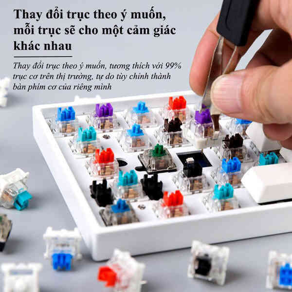 Bàn phím cơ không dây Newmen GM680, nhỏ gọn, độc đáo, thời thượng, phong cách Á Đông - Ảnh 5. Bàn phím cơ không dây Newmen GM680, nhỏ gọn, độc đáo, thời thượng, phong cách Á Đông - Ảnh 5.