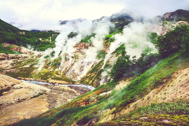 Một số lượng lớn động vật chết ở Thung lũng chết, và sự thật càng trở nên bí ẩn khi có sự can thiệp của quân đội - Ảnh 5.