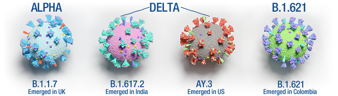 Biến thể Delta chưa phải là trùm cuối của đại dịch, đây là cách mà nó còn có thể tiến hóa - Ảnh 2. Biến thể Delta chưa phải là trùm cuối của đại dịch, đây là cách mà nó còn có thể tiến hóa - Ảnh 2.