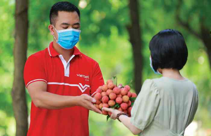 Quả vải đã làm nên kỳ tích trong đại dịch