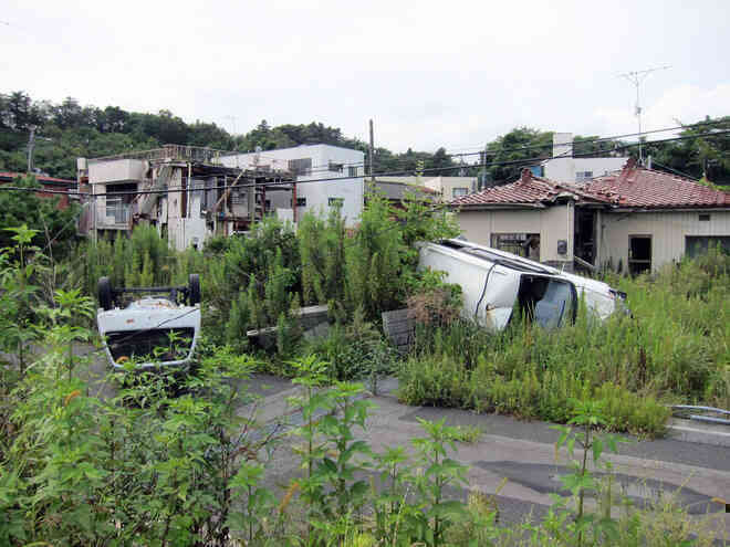 Các nhà khoa học trở lại vùng loại trừ hạt nhân Fukushima, bắt những con rắn nhiễm xạ để nghiên cứu