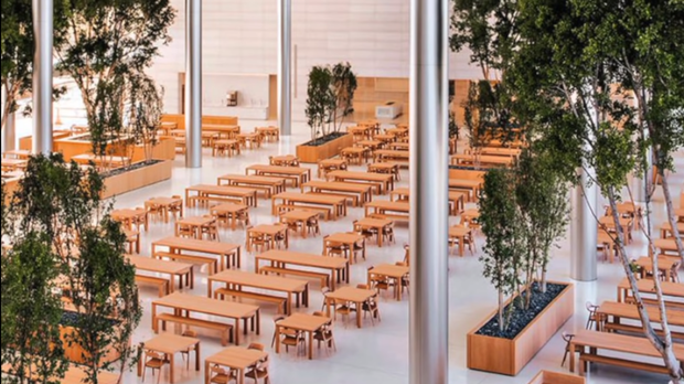  Cận cảnh Apple Park: Văn phòng đẹp nhất thế giới trị giá 5 tỷ USD, nơi tổ chức buổi ra mắt iPhone 13 đêm nay! - Ảnh 9.