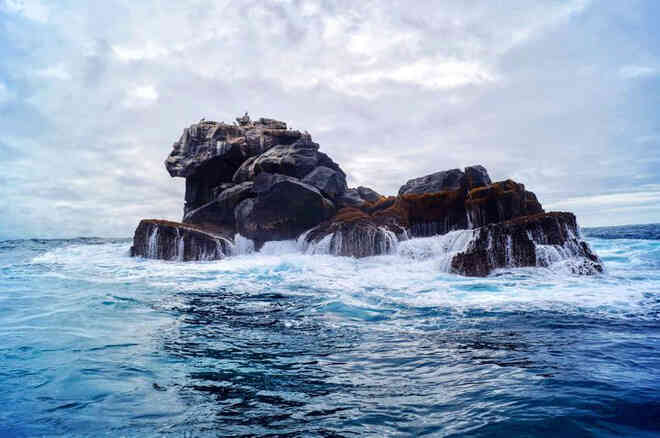 Quần đảo Galapagos: Thế giới thời tiền sử ở Thái Bình Dương! - Ảnh 2. Quần đảo Galapagos: Thế giới thời tiền sử ở Thái Bình Dương! - Ảnh 2.