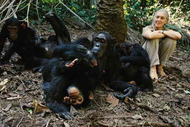 Chiến tranh tinh tinh: Vì tranh giành quyền lực mà những con tinh tinh này đã tổ chức một cuộc chiến đẫm máu kéo dài 4 năm - Ảnh 12.
