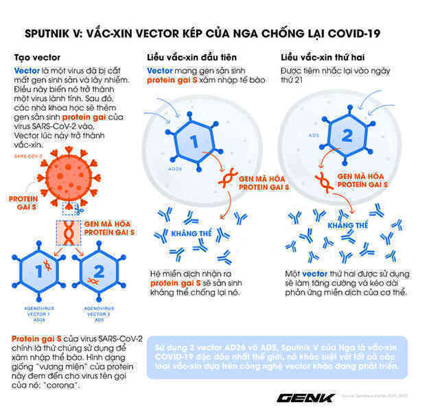 Vắc-xin Sputnik V: Công nghệ, độ an toàn và hiệu quả, khả năng chống biến thể Delta - Ảnh 2.