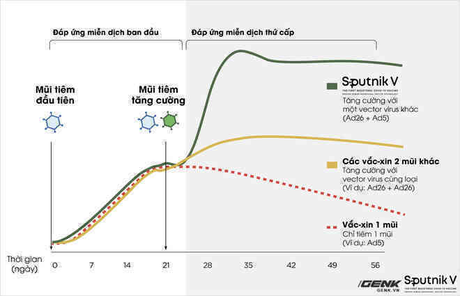 Vắc-xin Sputnik V: Công nghệ, độ an toàn và hiệu quả, khả năng chống biến thể Delta - Ảnh 4.
