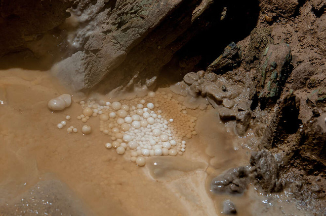 Lần đầu tiên có đoàn thám hiểm chạm tới đáy giếng địa ngục triệu năm tuổi ở Yemen - Ảnh 5.