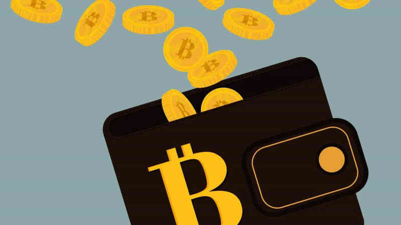 Giúp khách hàng tìm lại mật khẩu ví Bitcoin, hai cha con lập trình viên chạm tay vào kho vàng ảo 4,7 tỷ USD - Ảnh 2.
