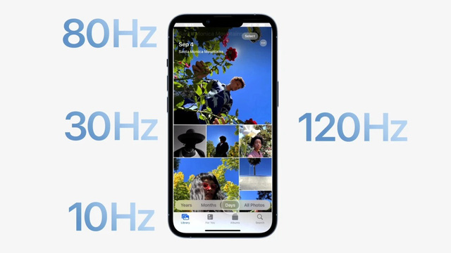 Cả 4 mẫu iPhone 14 đều sẽ có màn hình ProMotion 120Hz
