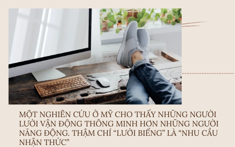 Triết lý thành công của những kẻ lười: Jack Ma tán thành nghịch lý lười biếng sẽ dễ thành công, Bill Gates thậm chí thích chọn nhân viên lười đảm nhận việc quan trọng - Ảnh 1. Triết lý thành công của những kẻ lười: Jack Ma tán thành nghịch lý lười biếng sẽ dễ thành công, Bill Gates thậm chí thích chọn nhân viên lười đảm nhận việc quan trọng - Ảnh 1.