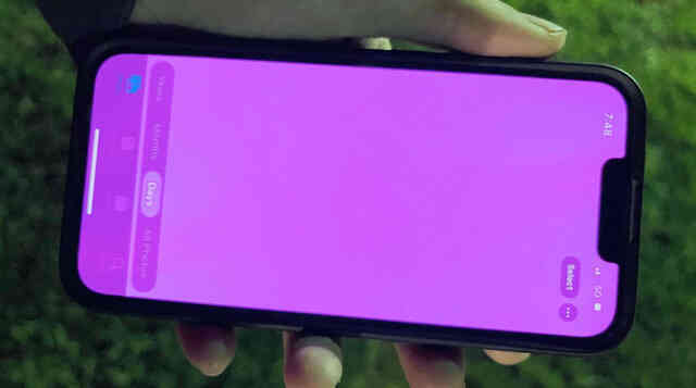 Nhiều iPhone 13 gặp lỗi "màn hình hồng", Apple cho rằng không phải lỗi phần cứng - Ảnh 1. Nhiều iPhone 13 gặp lỗi "màn hình hồng", Apple cho rằng không phải lỗi phần cứng - Ảnh 1.