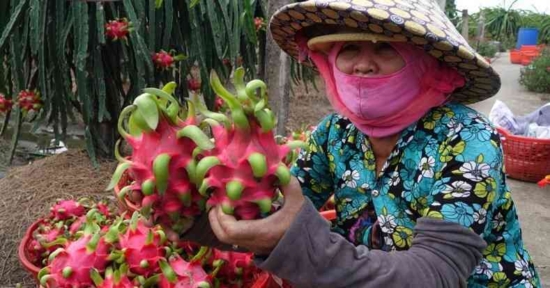 Thương mại điện tử tìm giải pháp bền vững cho nông sản