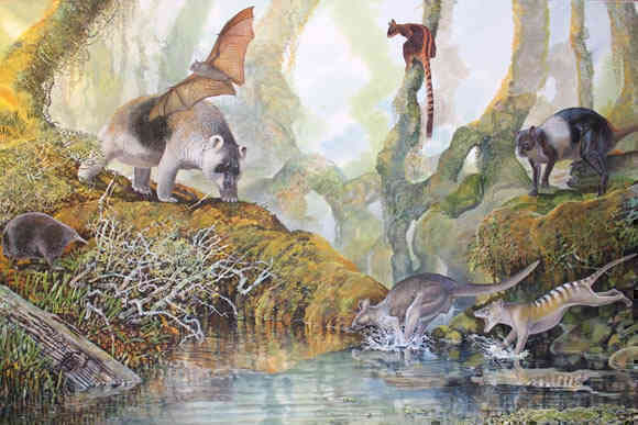 Một số loài Megafaunal đã tồn tại ở New Guinea cho đến 20.000 năm trước