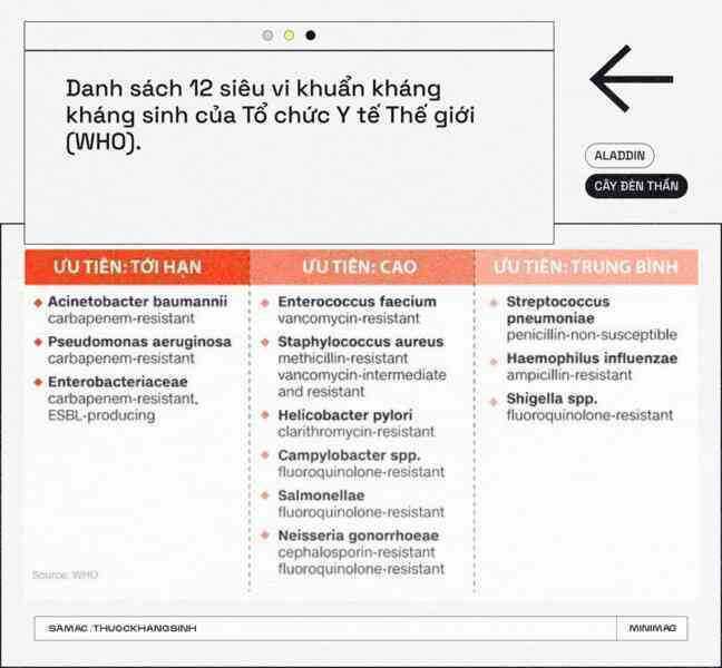 Aladdin và cây đèn thần: Lật tung cả sa mạc để tìm thuốc kháng sinh mới - Ảnh 13. Aladdin và cây đèn thần: Lật tung cả sa mạc để tìm thuốc kháng sinh mới - Ảnh 13.