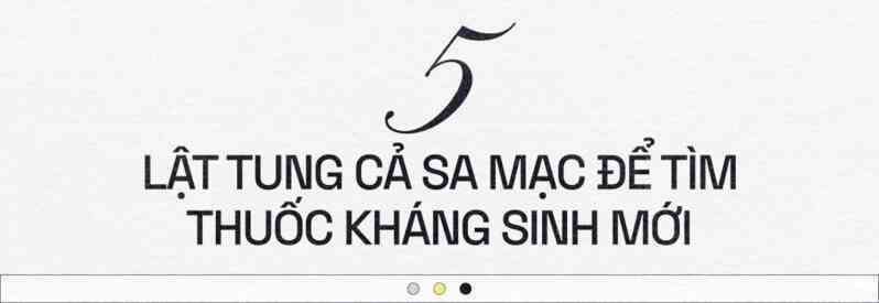 Aladdin và cây đèn thần: Lật tung cả sa mạc để tìm thuốc kháng sinh mới - Ảnh 16. Aladdin và cây đèn thần: Lật tung cả sa mạc để tìm thuốc kháng sinh mới - Ảnh 16.