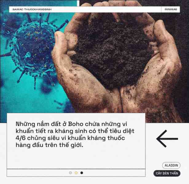 Aladdin và cây đèn thần: Lật tung cả sa mạc để tìm thuốc kháng sinh mới - Ảnh 23. Aladdin và cây đèn thần: Lật tung cả sa mạc để tìm thuốc kháng sinh mới - Ảnh 23.