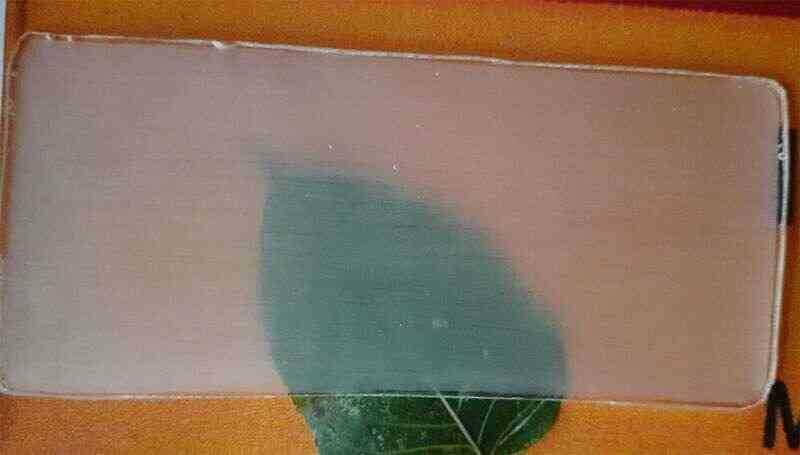 Gỗ trong suốt có thể sớm thay thế nhựa