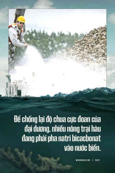 Biển hấp thụ 22 triệu tấn CO2 mỗi ngày, chúng đang làm tan vỏ hàu, tẩy trắng san hô và khiến cả đại dương axit hóa - Ảnh 13. Biển hấp thụ 22 triệu tấn CO2 mỗi ngày, chúng đang làm tan vỏ hàu, tẩy trắng san hô và khiến cả đại dương axit hóa - Ảnh 13.