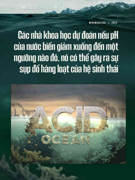 Biển hấp thụ 22 triệu tấn CO2 mỗi ngày, chúng đang làm tan vỏ hàu, tẩy trắng san hô và khiến cả đại dương axit hóa - Ảnh 4. Biển hấp thụ 22 triệu tấn CO2 mỗi ngày, chúng đang làm tan vỏ hàu, tẩy trắng san hô và khiến cả đại dương axit hóa - Ảnh 4.