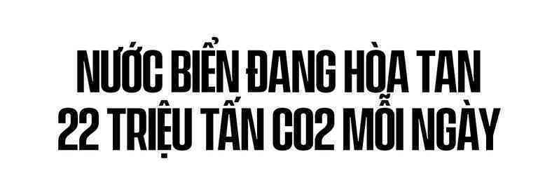 Biển hấp thụ 22 triệu tấn CO2 mỗi ngày, chúng đang làm tan vỏ hàu, tẩy trắng san hô và khiến cả đại dương axit hóa - Ảnh 5. Biển hấp thụ 22 triệu tấn CO2 mỗi ngày, chúng đang làm tan vỏ hàu, tẩy trắng san hô và khiến cả đại dương axit hóa - Ảnh 5.