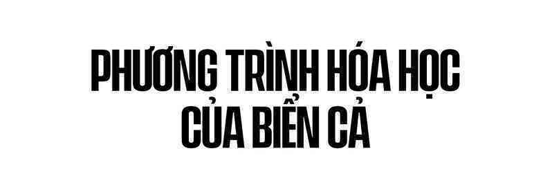 Biển hấp thụ 22 triệu tấn CO2 mỗi ngày, chúng đang làm tan vỏ hàu, tẩy trắng san hô và khiến cả đại dương axit hóa - Ảnh 10. Biển hấp thụ 22 triệu tấn CO2 mỗi ngày, chúng đang làm tan vỏ hàu, tẩy trắng san hô và khiến cả đại dương axit hóa - Ảnh 10.