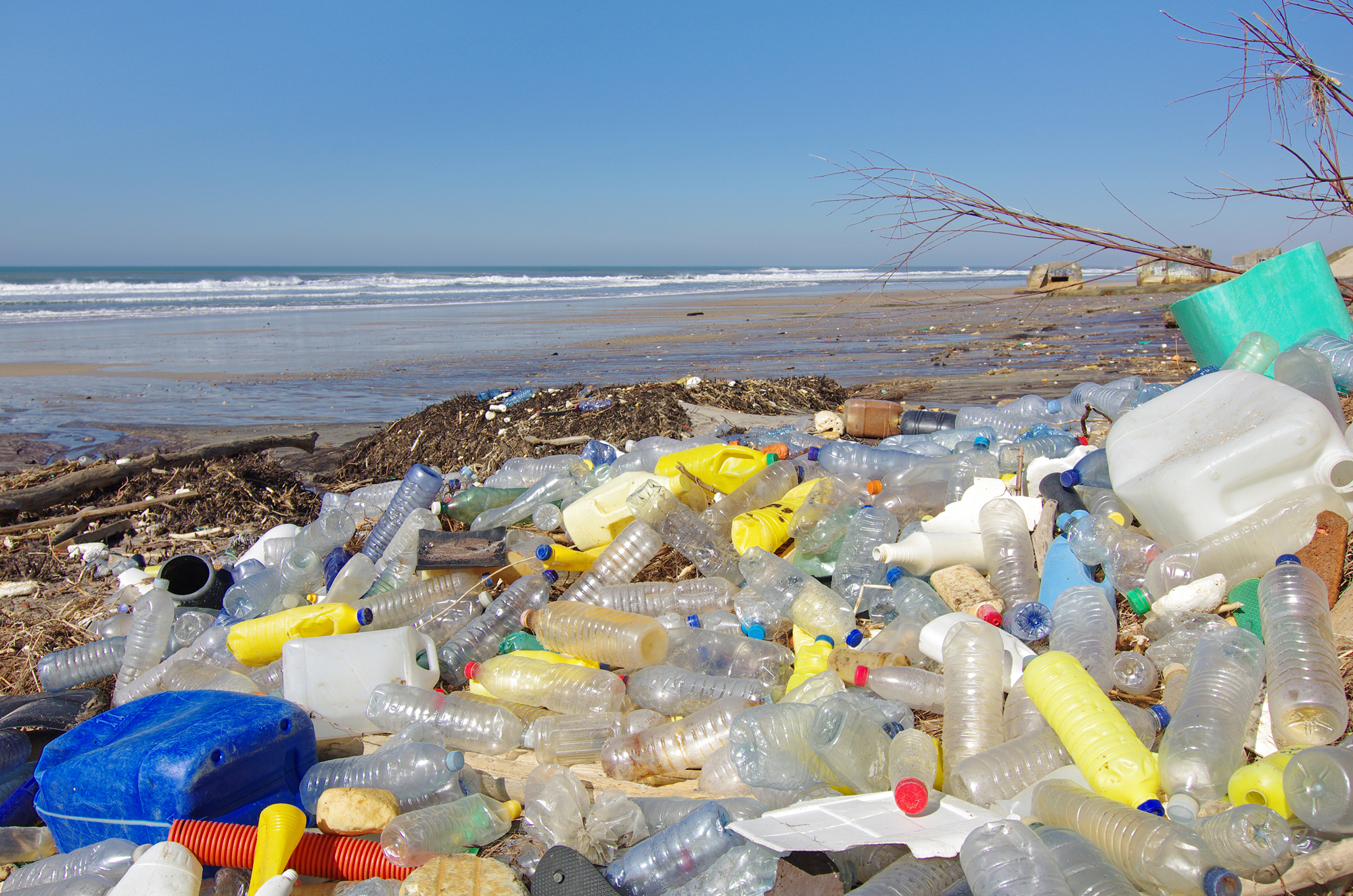 Men tiêu hóa của sâu sáp có thể phân giải nhựa, tiềm năng tạo đột phá cho ngành tái chế rác thải - Ảnh 3.