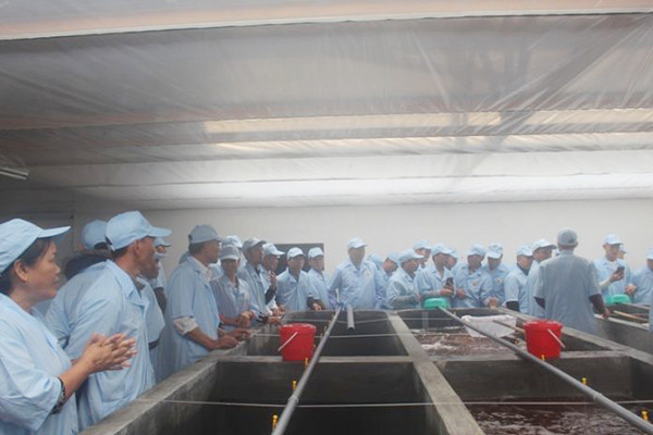 Quảng Ninh tăng tốc chuyển đổi số nông nghiệp
