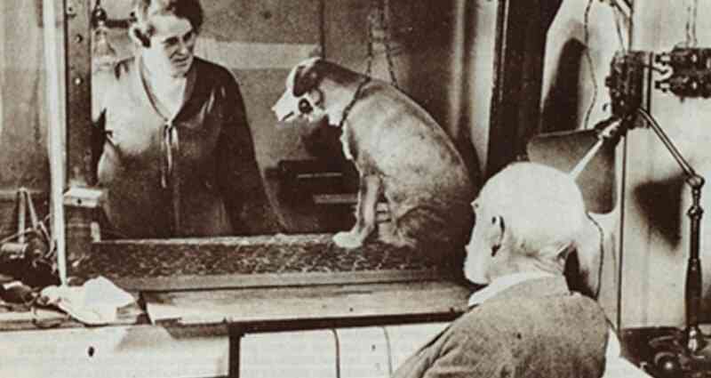 Con chó của Pavlov: Thử nghiệm cách mạng hóa tâm lý học