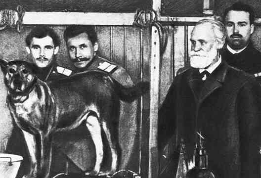 Con chó của Pavlov: Thử nghiệm cách mạng hóa tâm lý học - Ảnh 2. Con chó của Pavlov: Thử nghiệm cách mạng hóa tâm lý học - Ảnh 2.