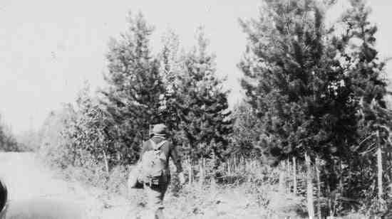 Lillian Alling: Người phụ nữ đầu tiên thực hiện chuyến hành trình đi bộ từ New York đến Siberia - Ảnh 4. Lillian Alling: Người phụ nữ đầu tiên thực hiện chuyến hành trình đi bộ từ New York đến Siberia - Ảnh 4.