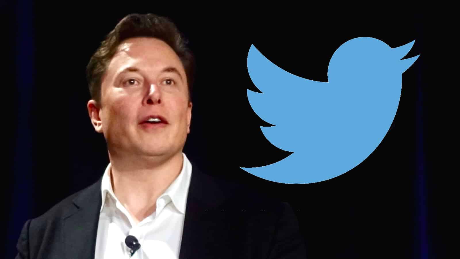 Elon Musk lên nắm quyền, Twitter Gaming gần như dừng hoạt động