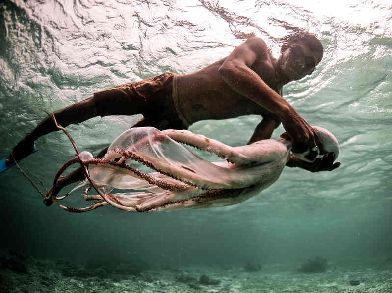 Tưởng Namor chỉ có trong phim nhưng ngoài đời cũng có tộc 'người cá'