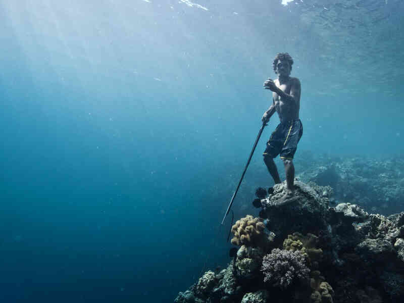 Tưởng Namor chỉ có trong phim nhưng thực ra ngoài đời cũng có tộc "người cá" này - Ảnh 3. Tưởng Namor chỉ có trong phim nhưng thực ra ngoài đời cũng có tộc "người cá" này - Ảnh 3.