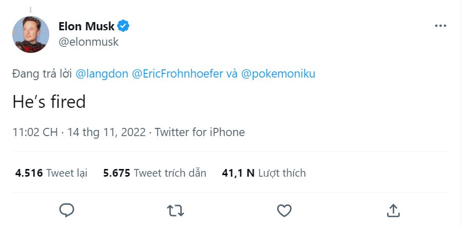 Công khai sửa lưng Elon Musk, một nhân viên Twitter bị đuổi việc trong một nốt nhạc - Ảnh 2. Công khai sửa lưng Elon Musk, một nhân viên Twitter bị đuổi việc trong một nốt nhạc - Ảnh 2.