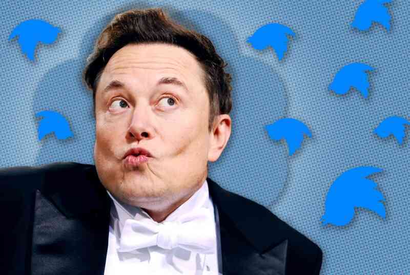 Cuộc tháo chạy của nhân viên Twitter khỏi đế chế Elon Musk