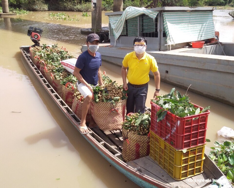Vietnam Post hỗ trợ nông dân tiếp cận phương thức kinh doanh qua sàn TMĐT