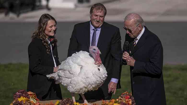 Chuyện gì sẽ xảy ra với những con gà tây say khi được tổng thống Mỹ ân xá mỗi dịp lễ Tạ ơn? - Ảnh 2.