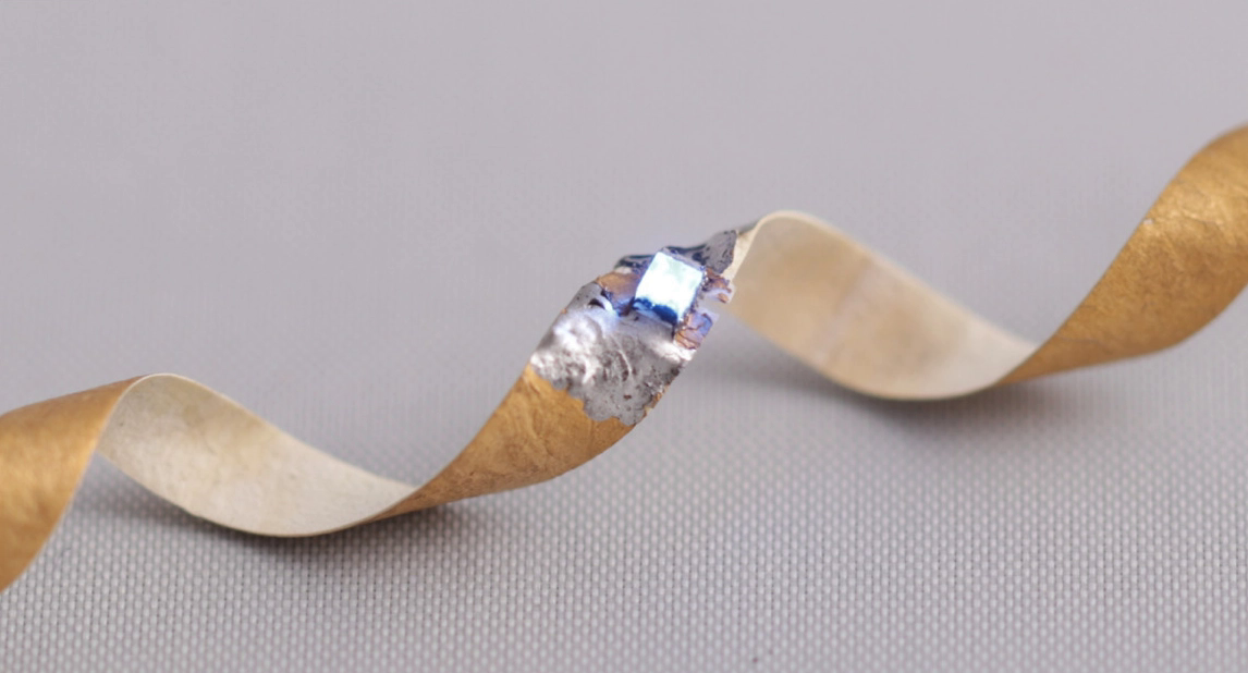 Khoa học thử nghiệm chip máy tính có thành phần nấm linh chi, tái chế và phân hủy dễ dàng - Ảnh 2. Khoa học thử nghiệm chip máy tính có thành phần nấm linh chi, tái chế và phân hủy dễ dàng - Ảnh 2.