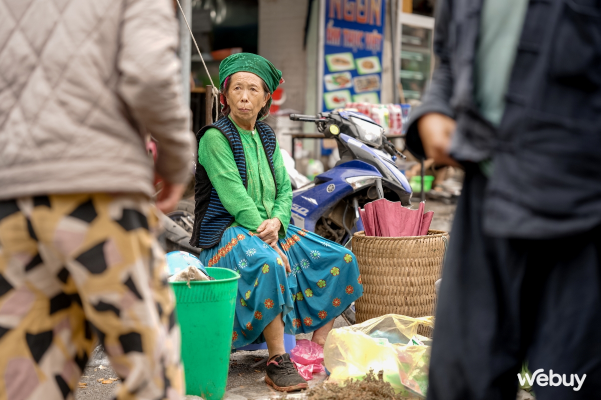 Trải nghiệm ống kính Sigma 65mm F2 và 35mm F2 DG DN (C): “Vô đối” trong tầm giá dưới 15 triệu?