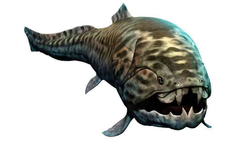 Phát hiện loài cá có thể cắn đứt đôi cơ thể của cá mập trắng lớn