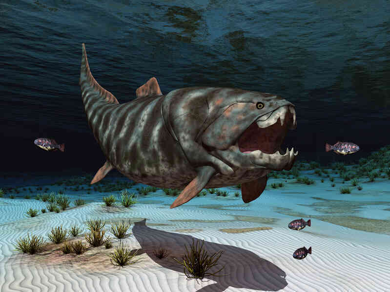 Phát hiện loài cá có thể cắn đứt đôi cơ thể của cá mập trắng lớn - Ảnh 4.