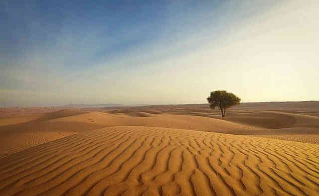 Có gì ở sa mạc 'đắt' nhất Trung Quốc mà muốn đổi 1kg gạo lấy 1kg cát cũng không được?
