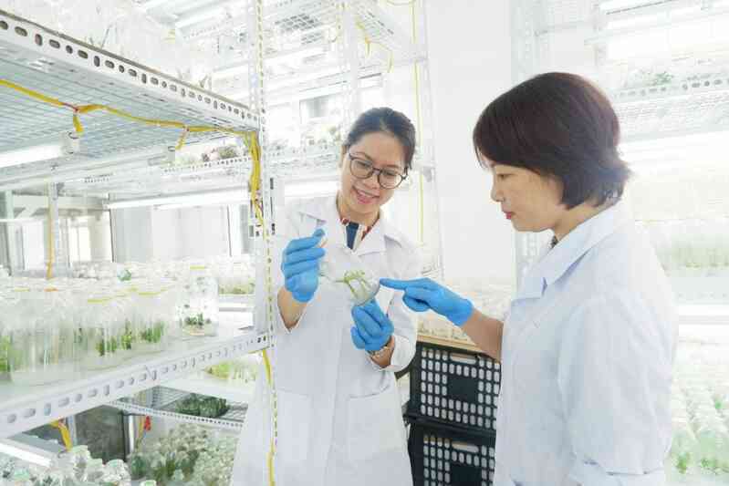 Một ngành học được coi là ngành khoa học của tương lai, cơ hội thăng tiến rất nhanh, mức thu nhập cao ngất ngưởng có thể tới 2,6 tỷ đồng/năm - Ảnh 2. Một ngành học được coi là ngành khoa học của tương lai, cơ hội thăng tiến rất nhanh, mức thu nhập cao ngất ngưởng có thể tới 2,6 tỷ đồng/năm - Ảnh 2.
